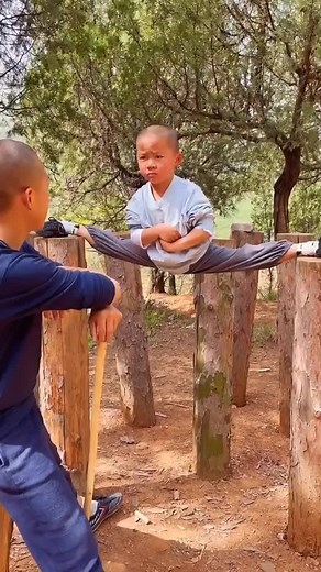 Shaolin Kung Fu Sports Training