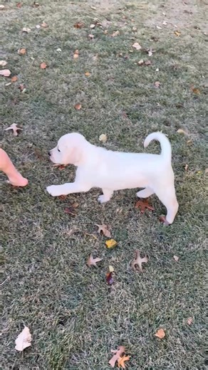 Murphy and his kids | Michelle Sims