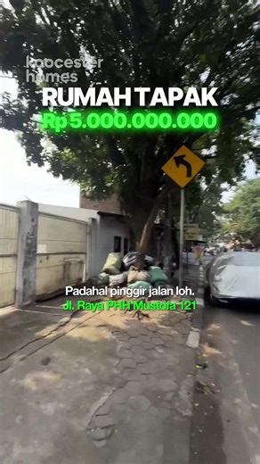 Rumah ini ada di pinggir jalan, tapi ukurannya bikin banyak komplek elit kalah 😳 🏡 Luas tanah 1.000 m² 🛏️ 9 kamar tidur 🕌 Masjid pribadi 🎱 Ruang biliar 🐱 Rumah khusus kucing 🌳 Lahan belakang 7.000 m² Dan yang paling unik? Tangga melayang 3 lantai yang langsung jadi pusat perhatian begitu masuk. Menurut kamu, bagian paling keren dari rumah ini yang mana? #housetour #rumahimpian #rumahmewah