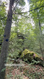 608 reactions · 51 shares | Beautiful hidden gem hiking trail in...