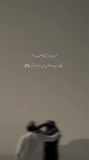 Zargo: Aesthetic Exploration of Emotion