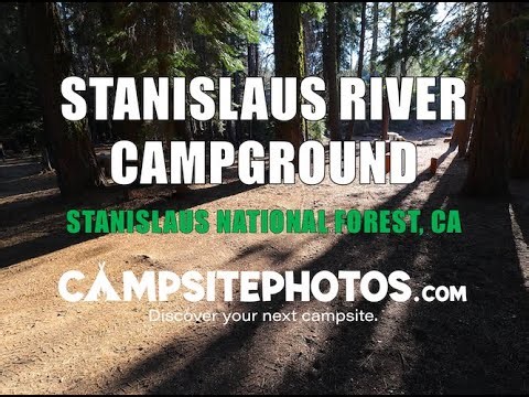 Stanislaus River Campground - Stanislaus National Forest, CA