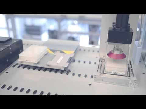 What is Synthetic Biology?