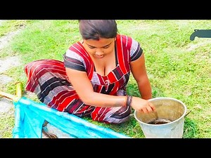 Women fishing || Incredible Net Fishing by Village Women || Indian Women Net Fishing in the River