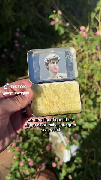 Is this tree sap gum really worth the hype? 🌴🧐 | mastic gum