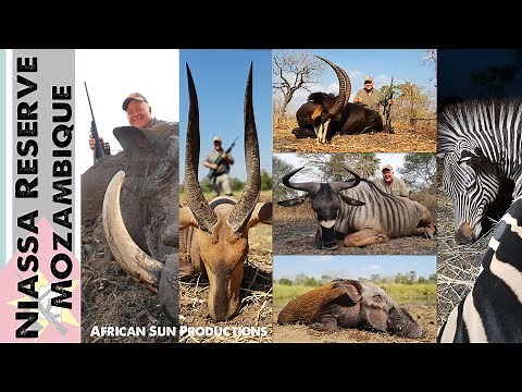 Hunt Mozambique Plains Game - Niassa Reserve