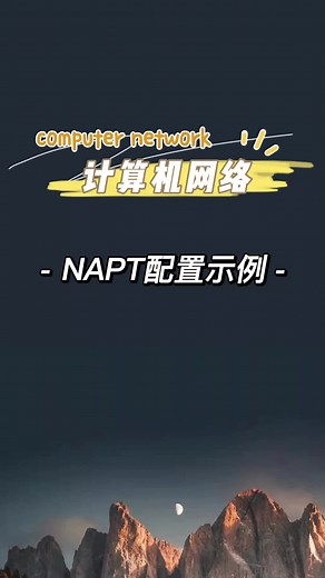 如何配置NAPT？