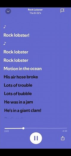 Rock Lobster - The B52's 🦞🎸 || #spotify #lyrics #audio #viral #fyp #rocklobster