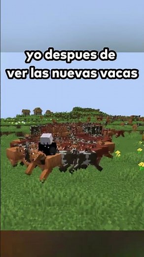 Crazy cows in Minecraft #viralvideo #highlightme #minecraftmemes #Minecraft #shorts #humor