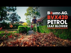 Baumr-AG BVX420 4-stroke Blower Vac