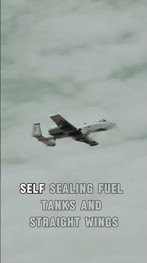 A-10 Warthog Fighter Jet | Unstoppable American Air Power