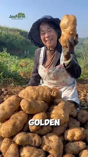 How China Turns Potatoes into Noodles! #potatonoodles #shorts