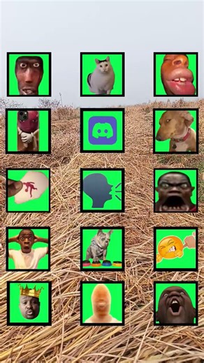 #All Memes Sound 🙈✨