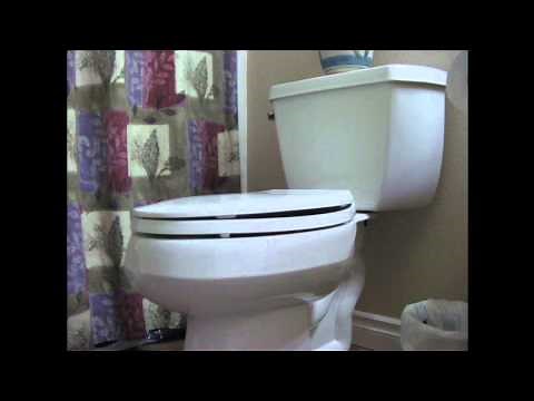 Toilet Flush Sound Effect