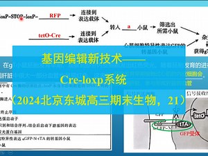 基因编辑新技术-Cre/loxp系统