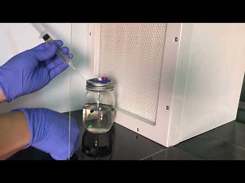 Myco Lid Pro™ Liquid Culture Demonstration