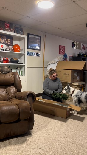 🌲 Comment TREE25 for the details Our old Christmas tree had the lights go out - which is annoying, but like, first world problems. I have searched for 2 years to find a reasonable, affordable tree - and I *might* have found the best option. Part of @target Wondershop collection - the 6.5' pre-lit option is $75. ⭐ White & Color lights ⭐ LED ⭐ Flashing, slow blink, fade, solid, options! ⭐ Goes up to 9 feet (As of 11/19 it was $180 online) *If you use @fetchrewards you can get 5 points for ever $1