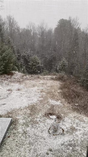 And Winter makes an appearance at our house today in Oxford ME!❄️ | Mainly Maine Photos by RLH