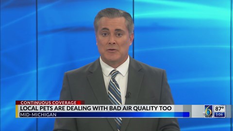 Local pets are dealing with bad air quality too