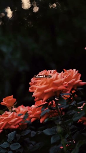 Hum Mar Jayenge | Aashiqui 2 | Arijit Singh, Tulsi Kumar | #shorts #trending #lyrics