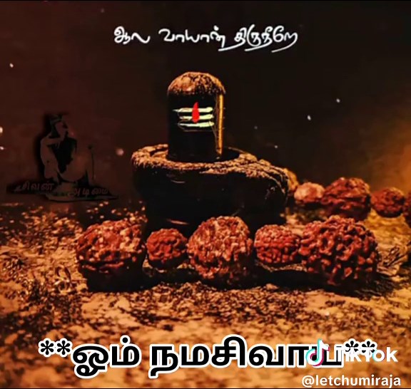 Powerful Tamil God Song - Om Namah Shivaya