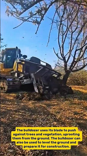 Land Clearing: Efficient Tree Removal with Bulldozer