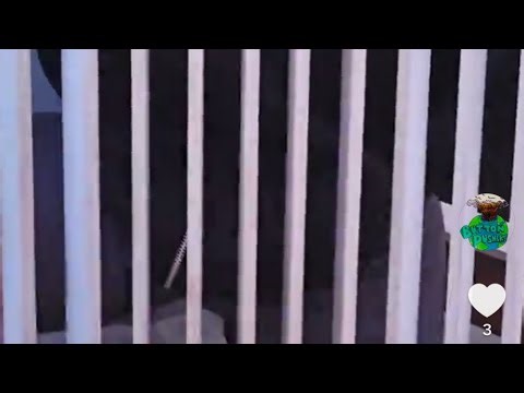 X-RAY RADIOLOGY GRID ERRORS