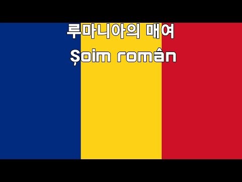 [철위대] 루마니아의 매여 Șoim român