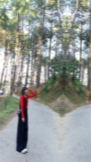 Funny and Relatable Introduction Video