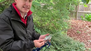 Spear & Jackson 4935TP Razorsharp Lightweight Telescopic Tree Pruner, Silver