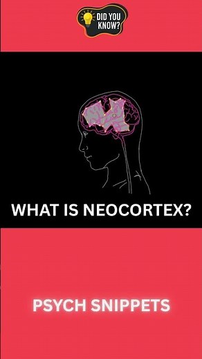 WHAT IS NEOCORTEX? #science #psychologyfacts #psychology