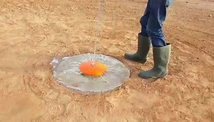 5.9K views · 65 reactions | And the Lord said "Let Shamus have water!" And hence, our first water in 12 years | Shamus O'Leary's Tropical Fruit Trees | Facebook