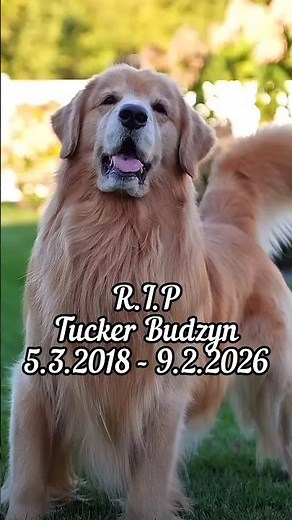 Tribute To Tucker Budzyn, Rest In Peace🕊❤️ ‪@TuckerBudzyn‬