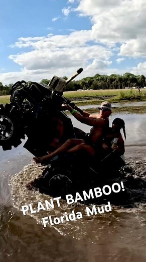 Plant Bamboo, Oktoberfest #florida #mudding #mudlife #flippintail #shorts