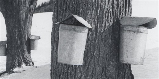Maple exhibit on display at Vermont History Museum in Montpelier