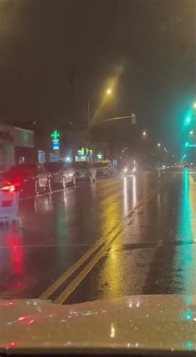 Shopping Cart Surprise: The Hilarious Traffic Stop! #dashcam #bodycam #shorts #usa #funnydashcam