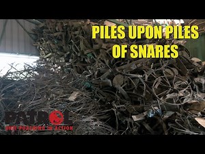 Piles Upon Piles of Snares and Traps