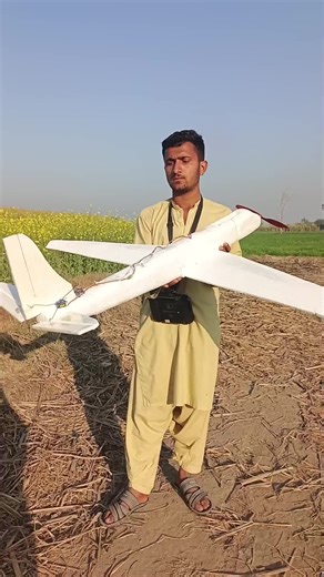 Homemade RC Plane: Build and Fly Your Own Model