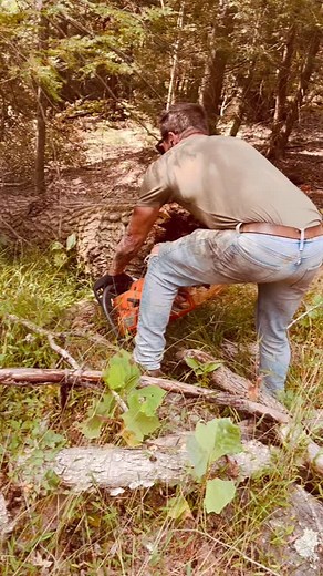 The firewood process #hockinghills #hockinghillsstatepark #ohiocabins #thelostcavern #thingstodoinohio #hocking #ohiogetaways #hockinghillscabins #readyforthewinter | Lost Cavern