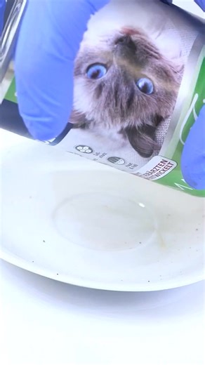 34K views · 268 reactions | The Hidden Truth: Why Your Cat Rejects the New Food #CatFood #HiddenTruth #CatBehavior #PetCare #SatisfyingVideo #FoodMystery #ASMRPets #CuriousCats #PetNutrition #FoodRejects | Time Treats | Facebook