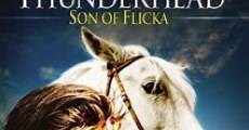 Thunderhead, hijo de Flicka (1945)  - Ver Película Completa en Español - FULLTV