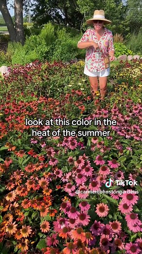 TikTok - Make Your Day