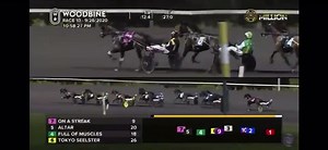 16K views · 252 reactions | Watch the Mohawk Million now! Congratulations to trainer Julie Miller and driver Andy McCarthy winning with VENERATE from post 10 in 1:53.2. | HarnessRacing.com | Facebook