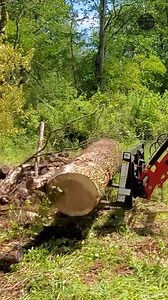 12K views · 46 reactions | Cutting and Moving a BIG Log #Logs #CuttingLogs #TractorWork #Tractors TYM North America | Tony's Tractor Adventure Homestead | Facebook