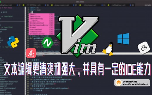 13分钟详解Linux上如何安装Vim插件—YouCompleteMe：文本编辑更清爽和强大，并具有一定的IDE能力
