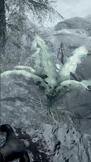 Part 2 of Nirnroots in Skyrim. #skyrim #mrcatgame #tes #theelderscrolls #elderscrolls