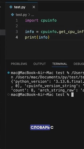 Узнай всё о процессоре через Python (py-cpuinfo). Python расскажет, какой у тебя CPU 🤯