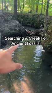 #fossils #artifacts #megladon #sharkteeth #palientology #archeology @the_russian_archaeologist | Jag Galicia