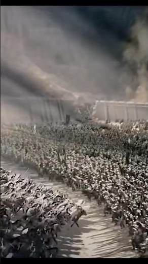 Gandalf Arrives at Helms Deep