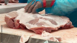 butchering of pork and beef carcasses production of minced meat from pork and beef meat in the stuffing machine of the meat processing plant Stock Video